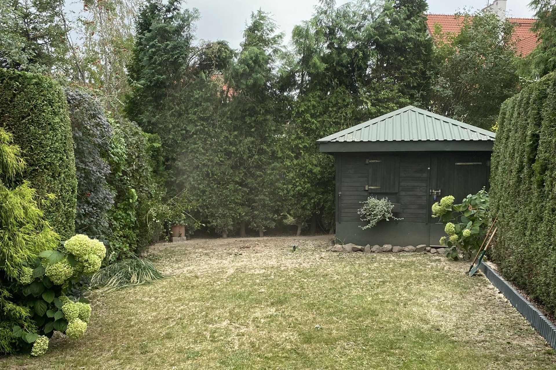 Ile kosztuje koszenie trawnika i co realnie wpływa na cenę usługi?